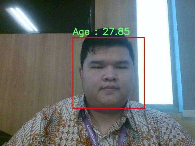 Face Age Estimation